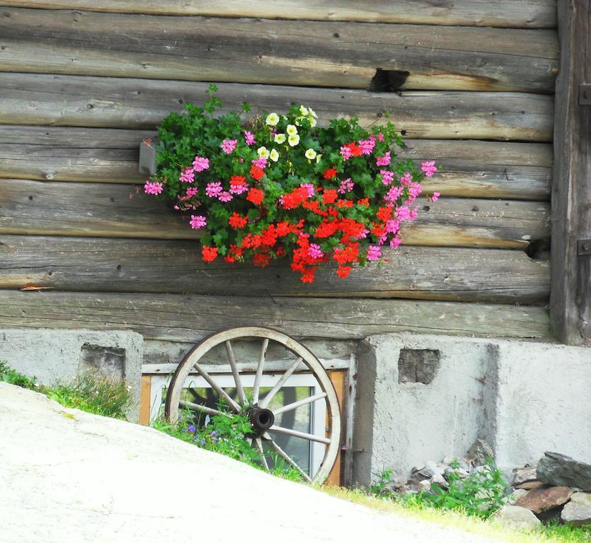 Ferienwohnung Sattlehnerhof Ramsau am Dachstein Exterior foto