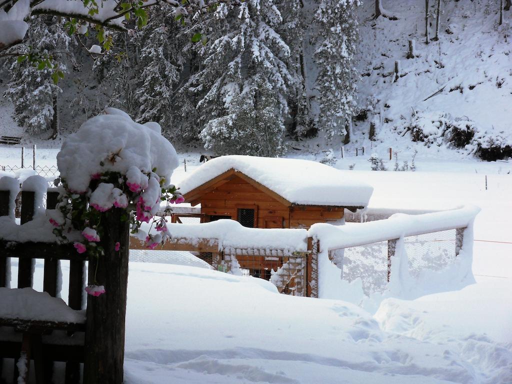Ferienwohnung Sattlehnerhof Ramsau am Dachstein Exterior foto